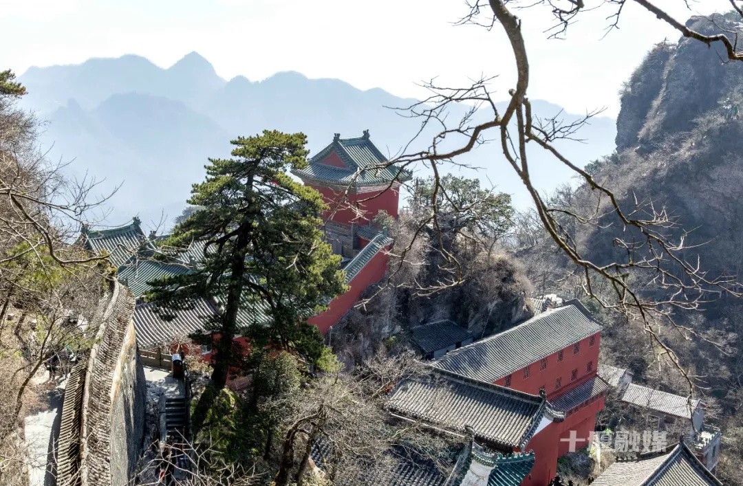 海拔1612米的武当山金顶上，这个“长寿家族”鲜为人知