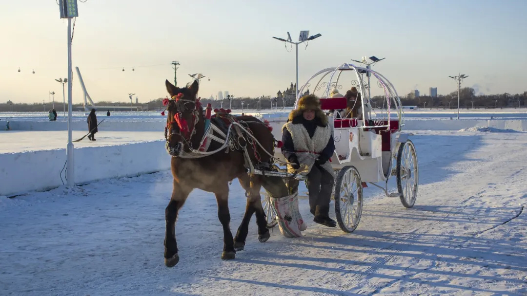 十堰武当山机场新开通哈尔滨、珠海航线，低价机票抢起来