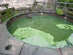 五龙宫道院圆池