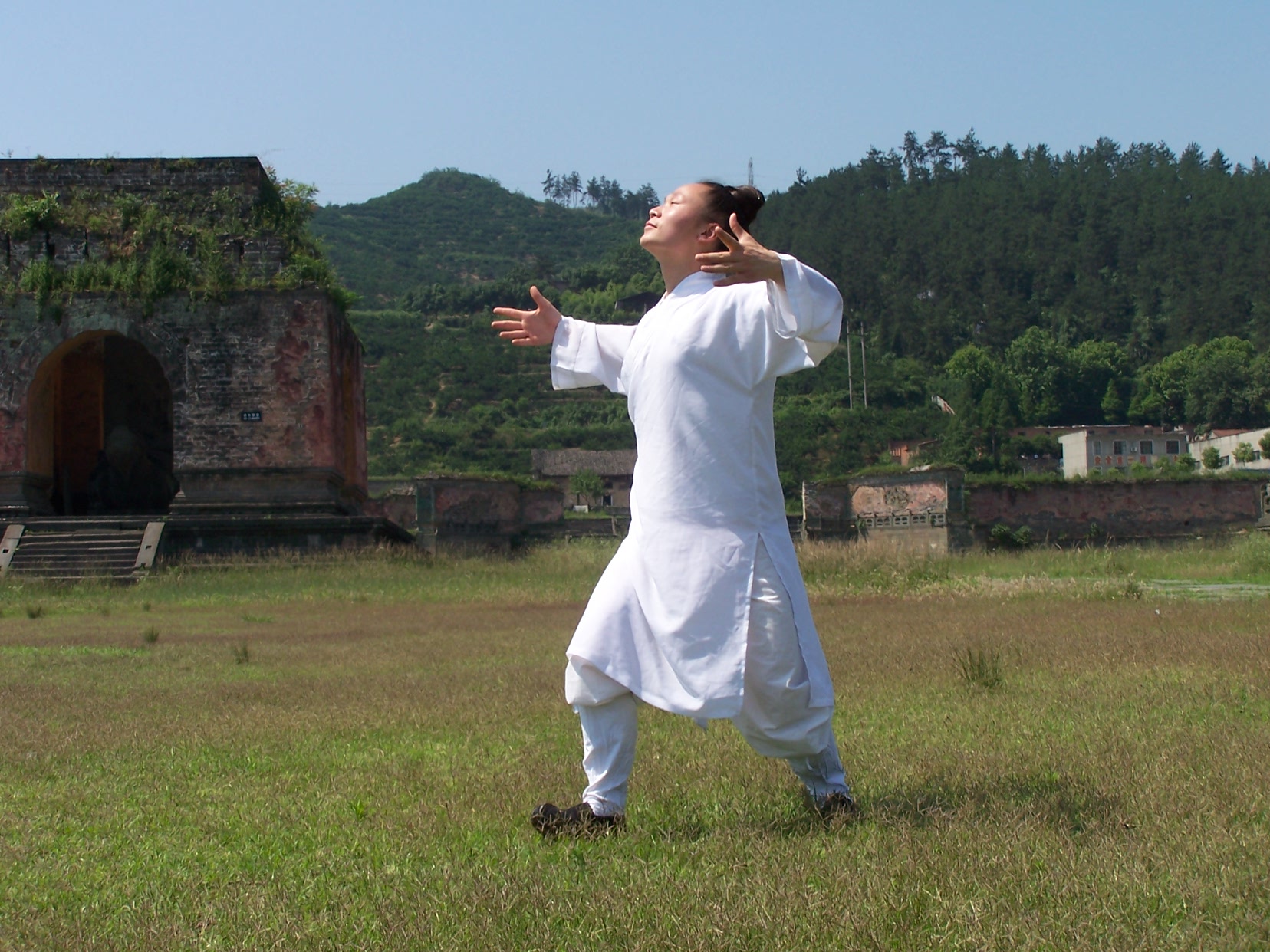 武当密传五形功 龟形功法