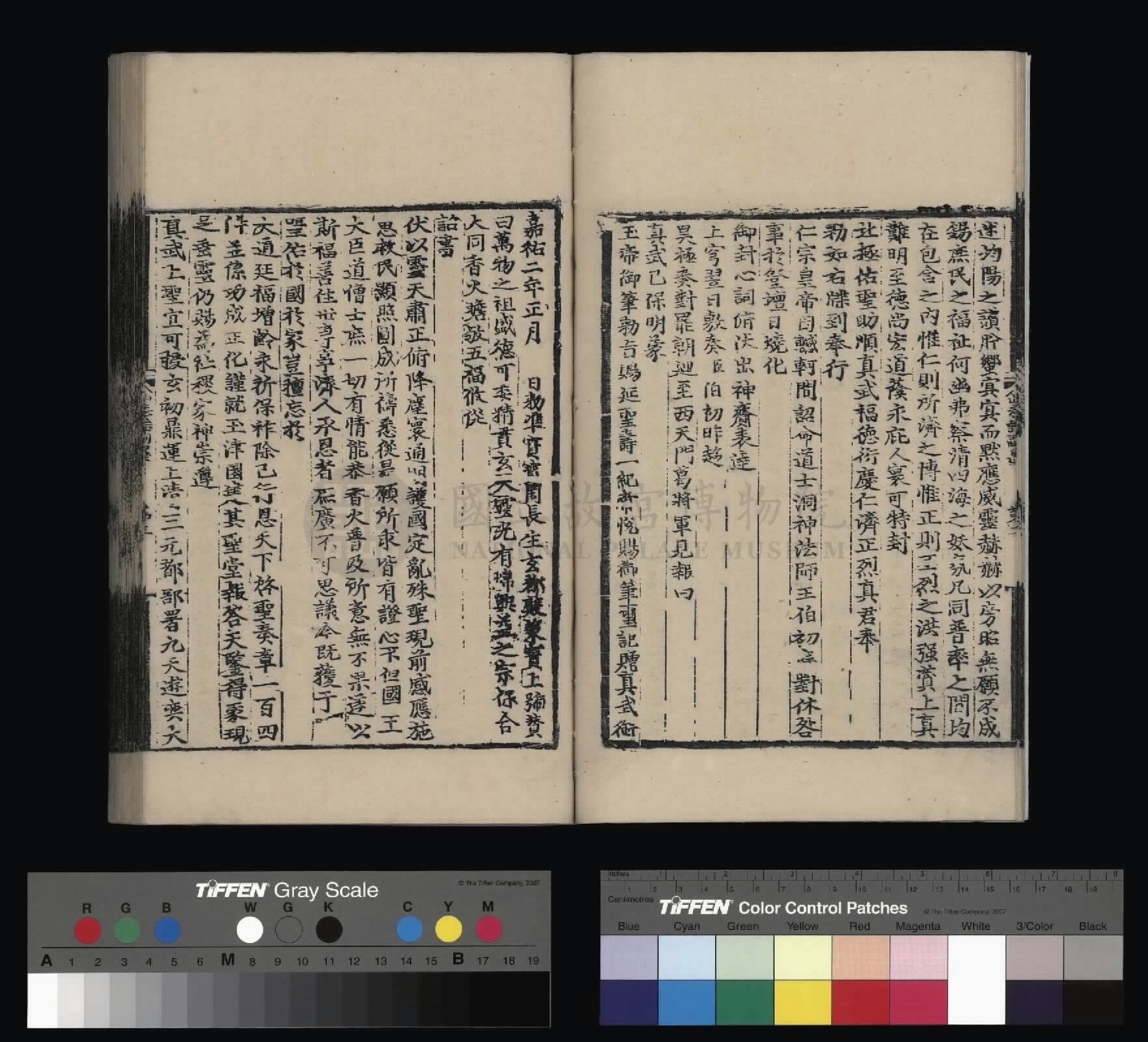 Image 8