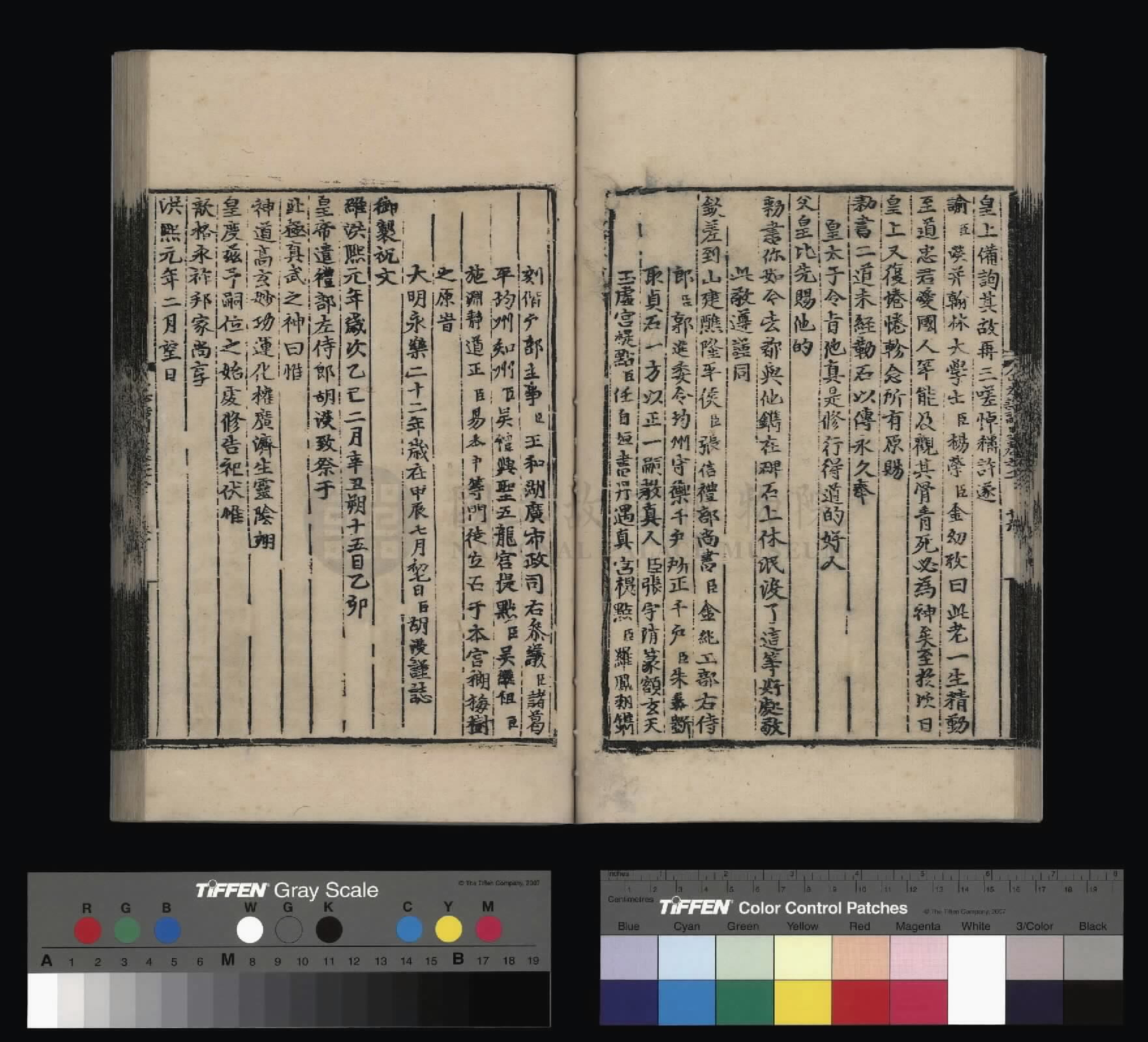 Image 31