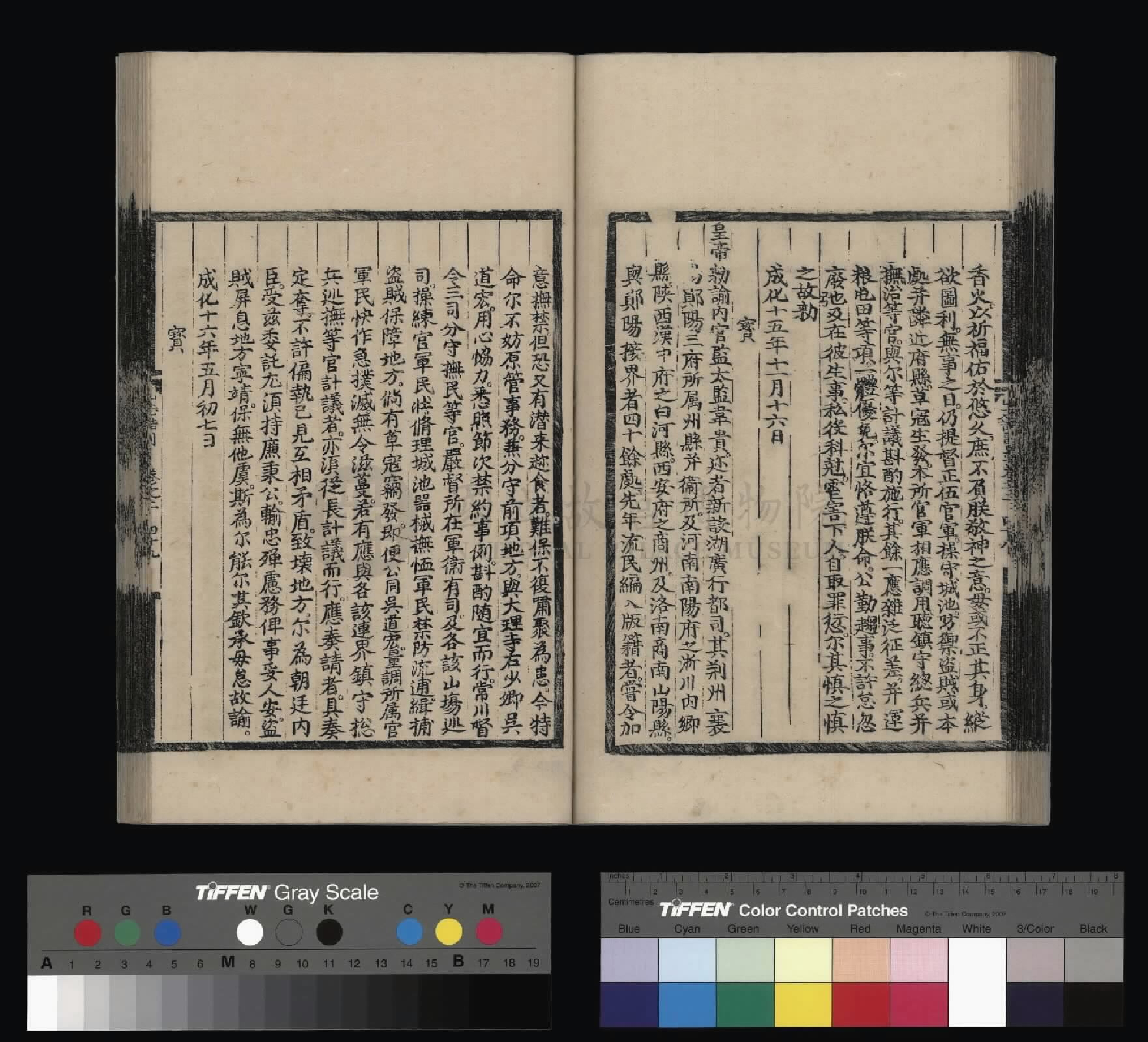 Image 61