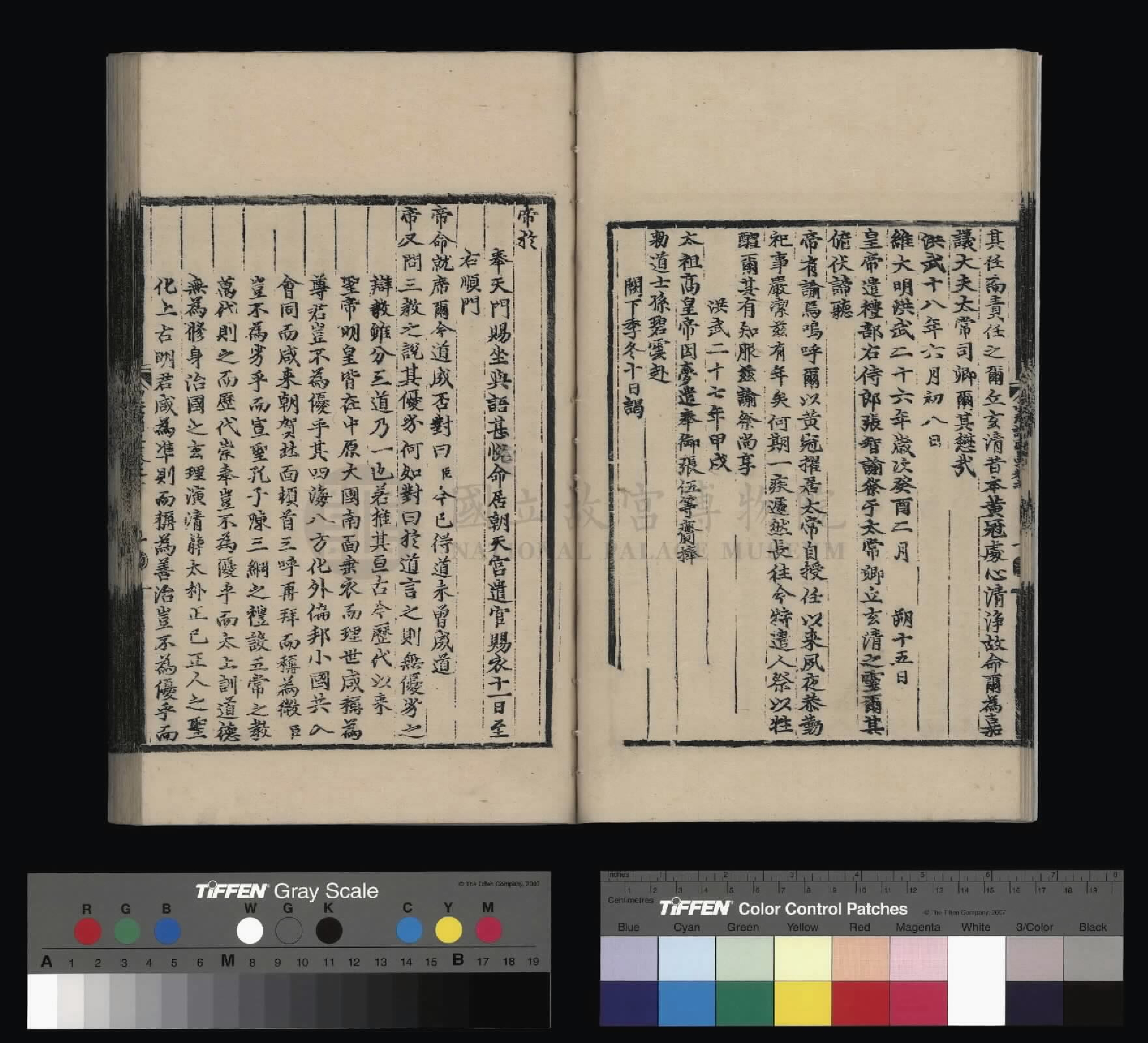 Image 13