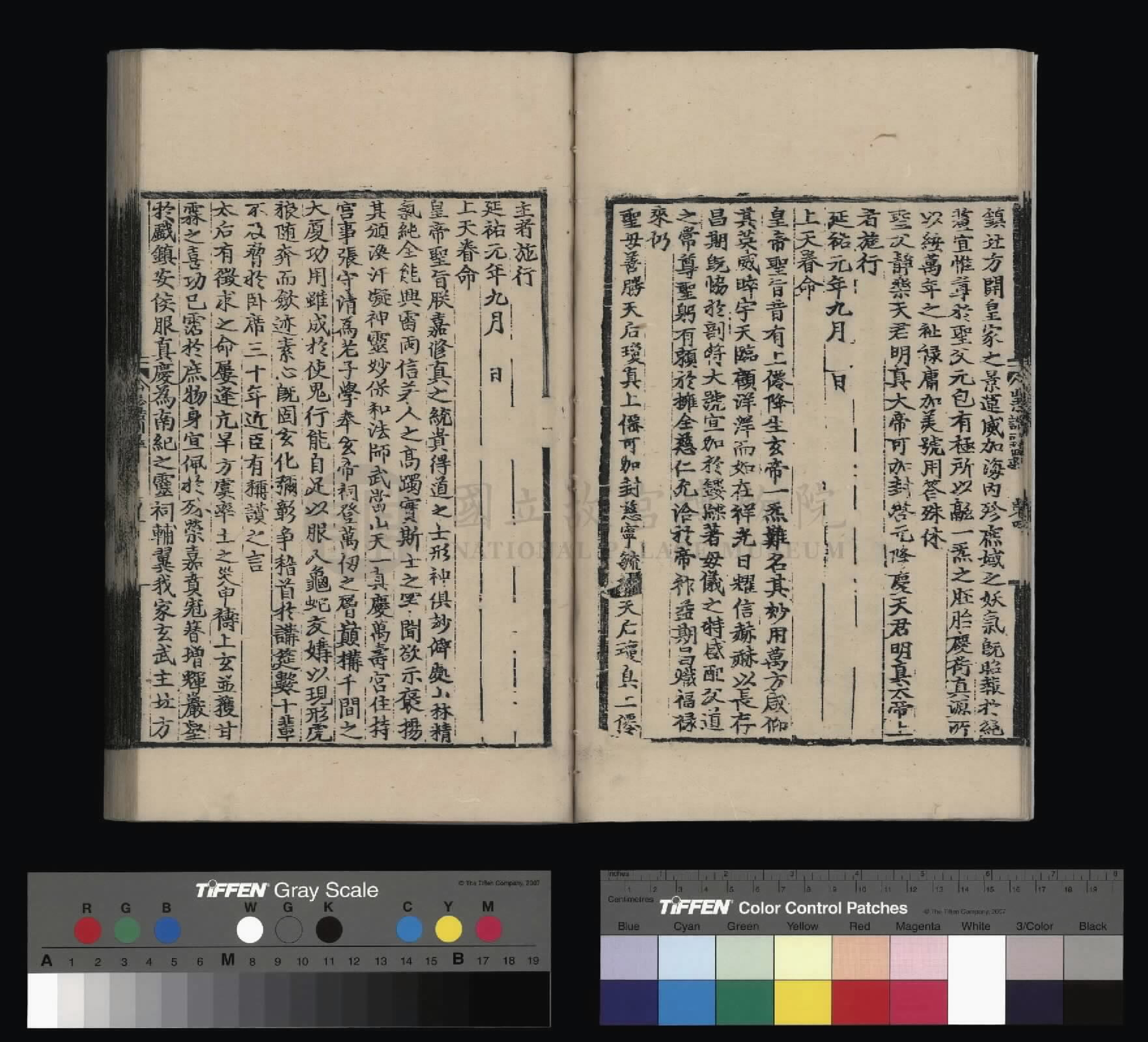 Image 10