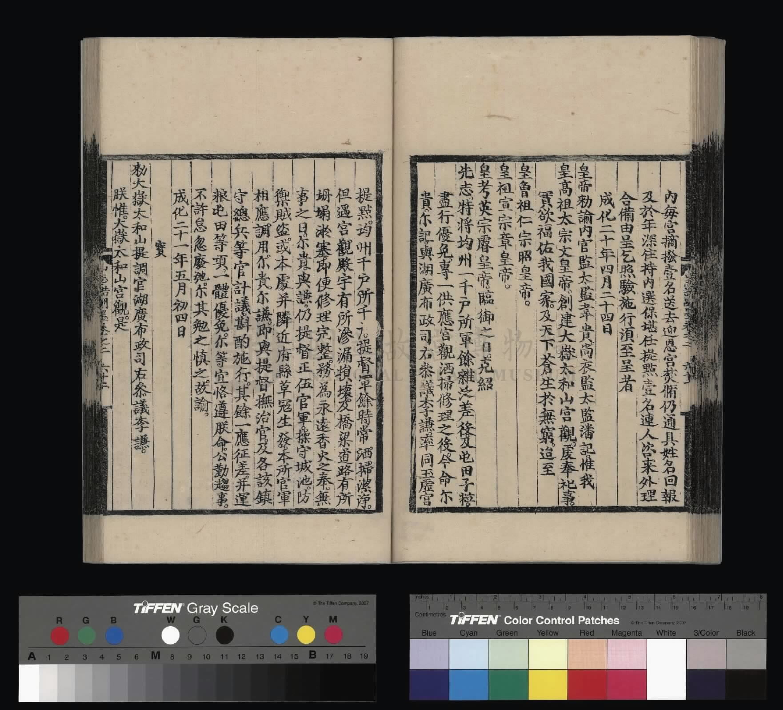 Image 74