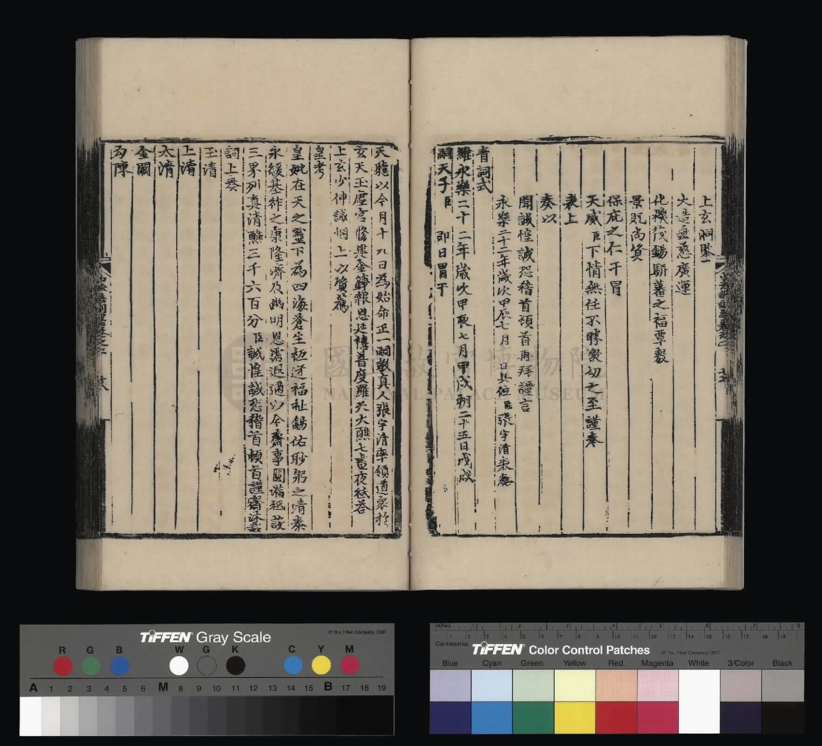 Image 29