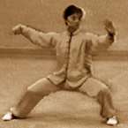 陈式太极拳