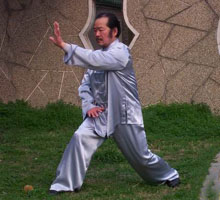 武当纯阳拳