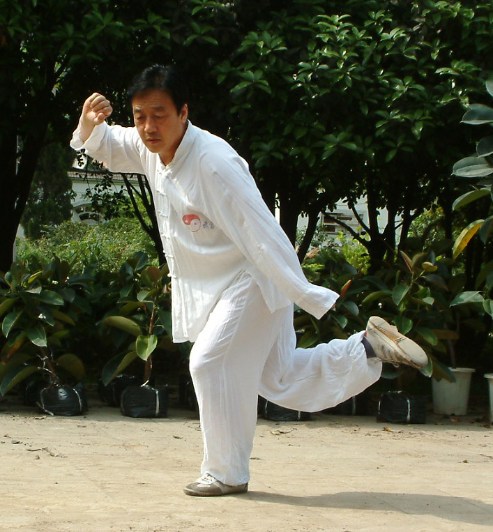 龙形八卦掌
