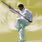 九州棍