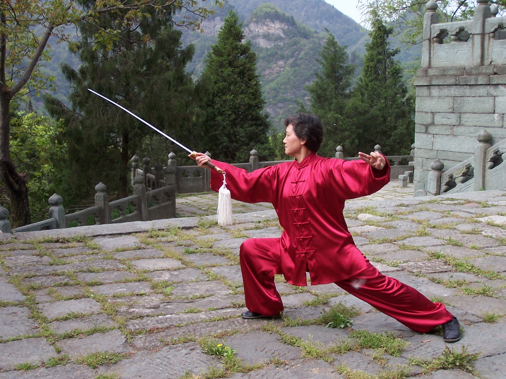 武当八卦太极剑