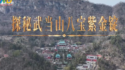 《武当八百里》第三十集 八宝紫金锭