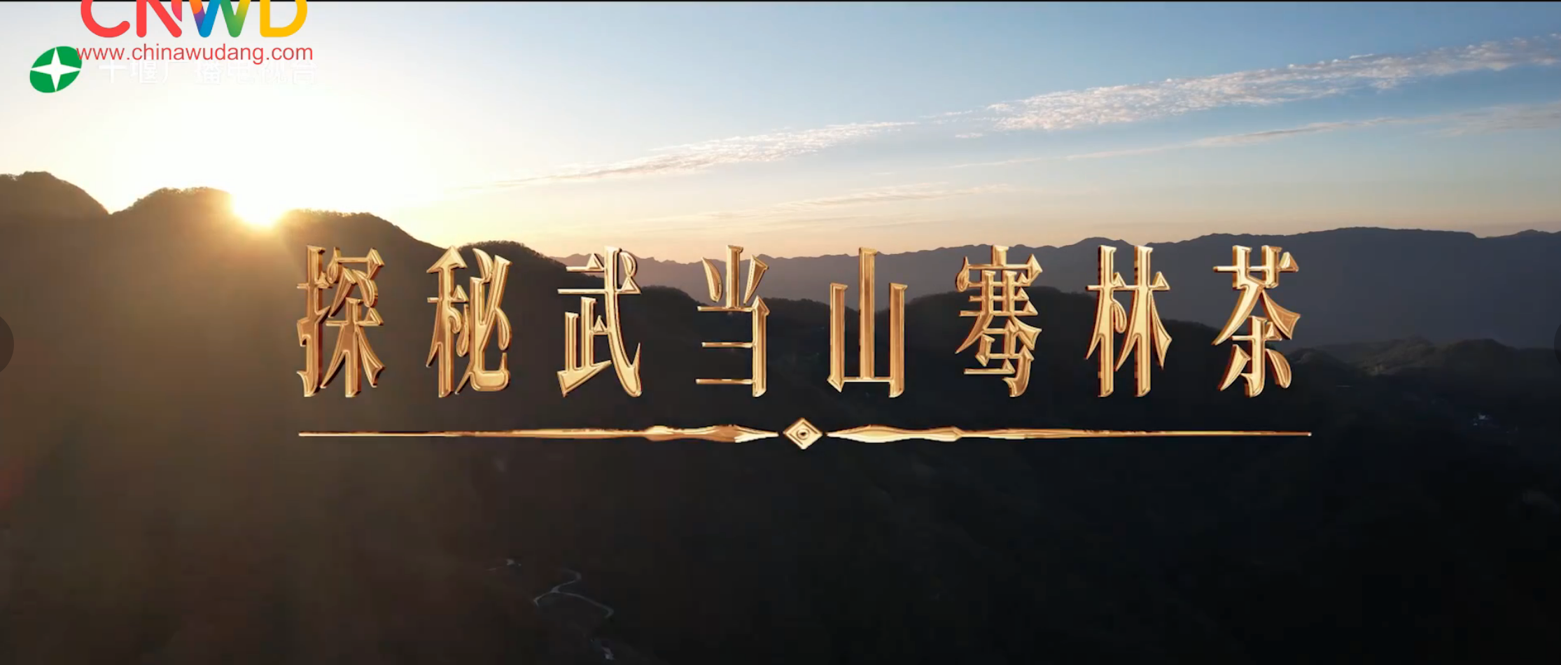 《武当八百里》第三十一集 骞林茶